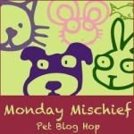 Click on the link to Hop Over to Snoopy's Blog and join in the Monday Mischief Blog Hop